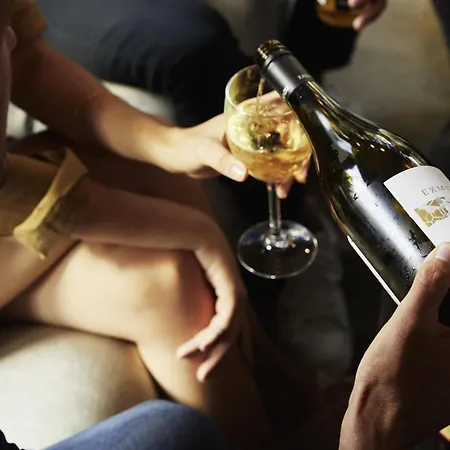 מלון Tribe 4*